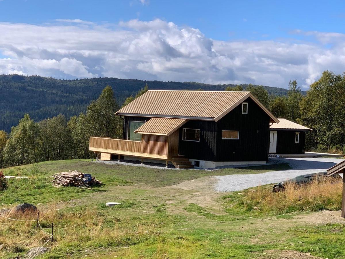 Na Er Vinteren Kommet Til Hallingdal آل المظهر الخارجي الصورة