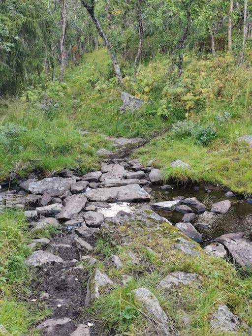 Na Er Vinteren Kommet Til Hallingdal آل المظهر الخارجي الصورة