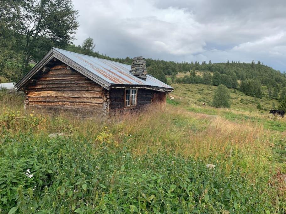 Na Er Vinteren Kommet Til Hallingdal آل المظهر الخارجي الصورة