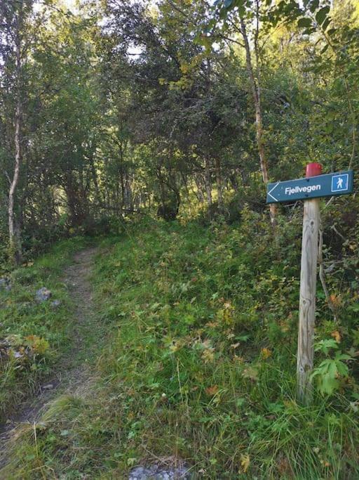 Na Er Vinteren Kommet Til Hallingdal آل المظهر الخارجي الصورة