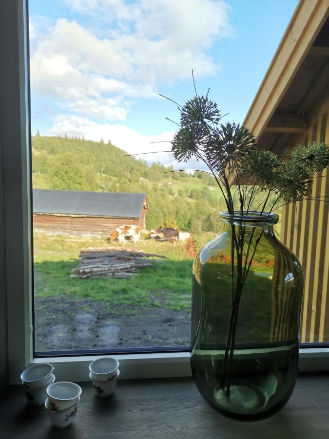 Na Er Vinteren Kommet Til Hallingdal آل المظهر الخارجي الصورة