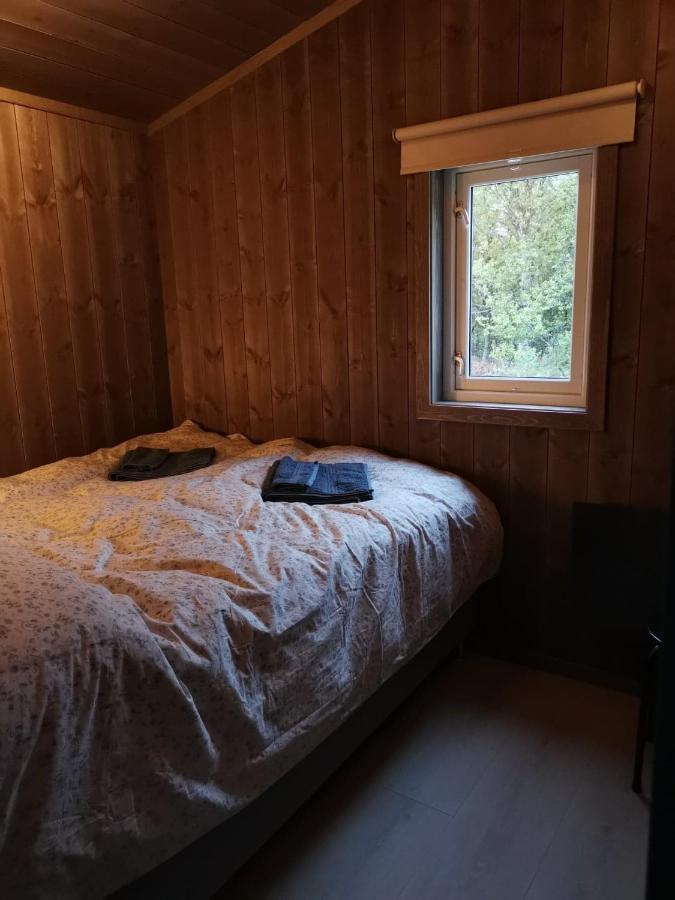Na Er Vinteren Kommet Til Hallingdal آل المظهر الخارجي الصورة