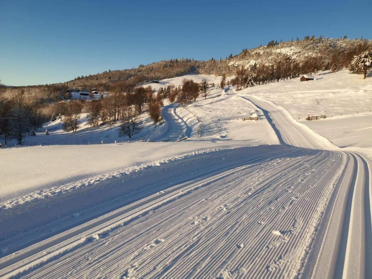 Na Er Vinteren Kommet Til Hallingdal آل المظهر الخارجي الصورة