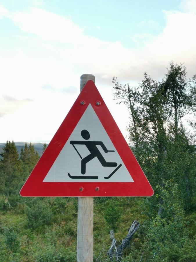 Na Er Vinteren Kommet Til Hallingdal آل المظهر الخارجي الصورة