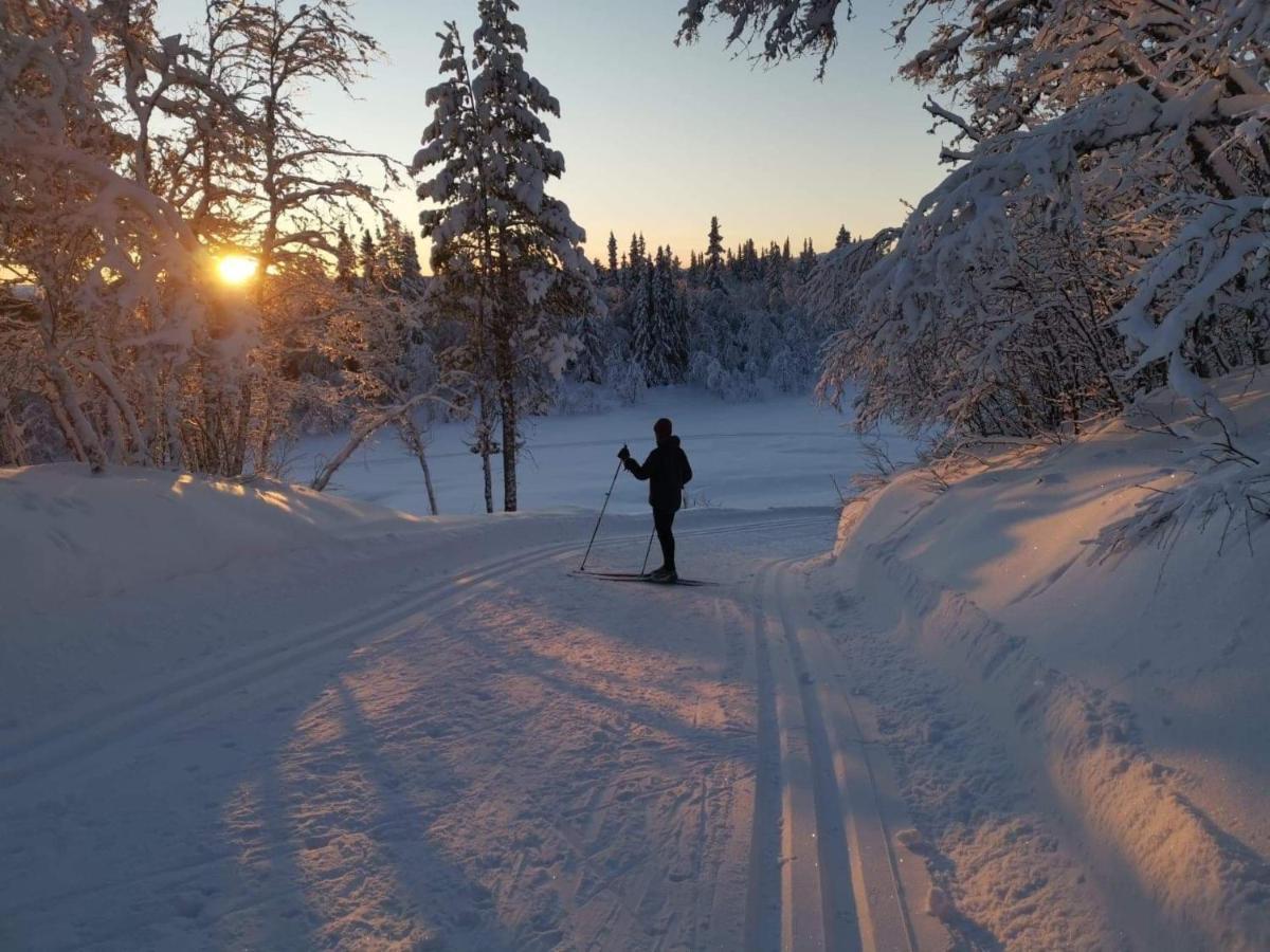 Na Er Vinteren Kommet Til Hallingdal آل المظهر الخارجي الصورة