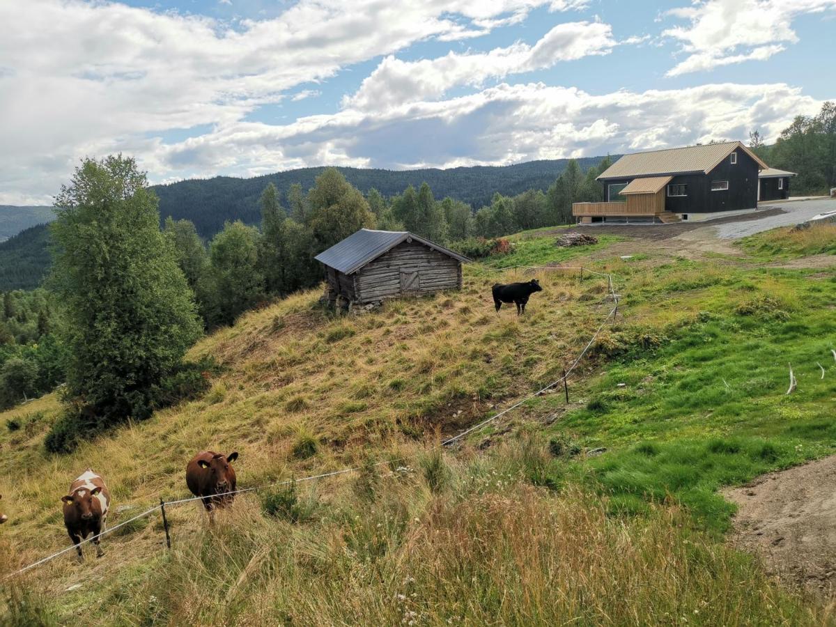 Na Er Vinteren Kommet Til Hallingdal آل المظهر الخارجي الصورة