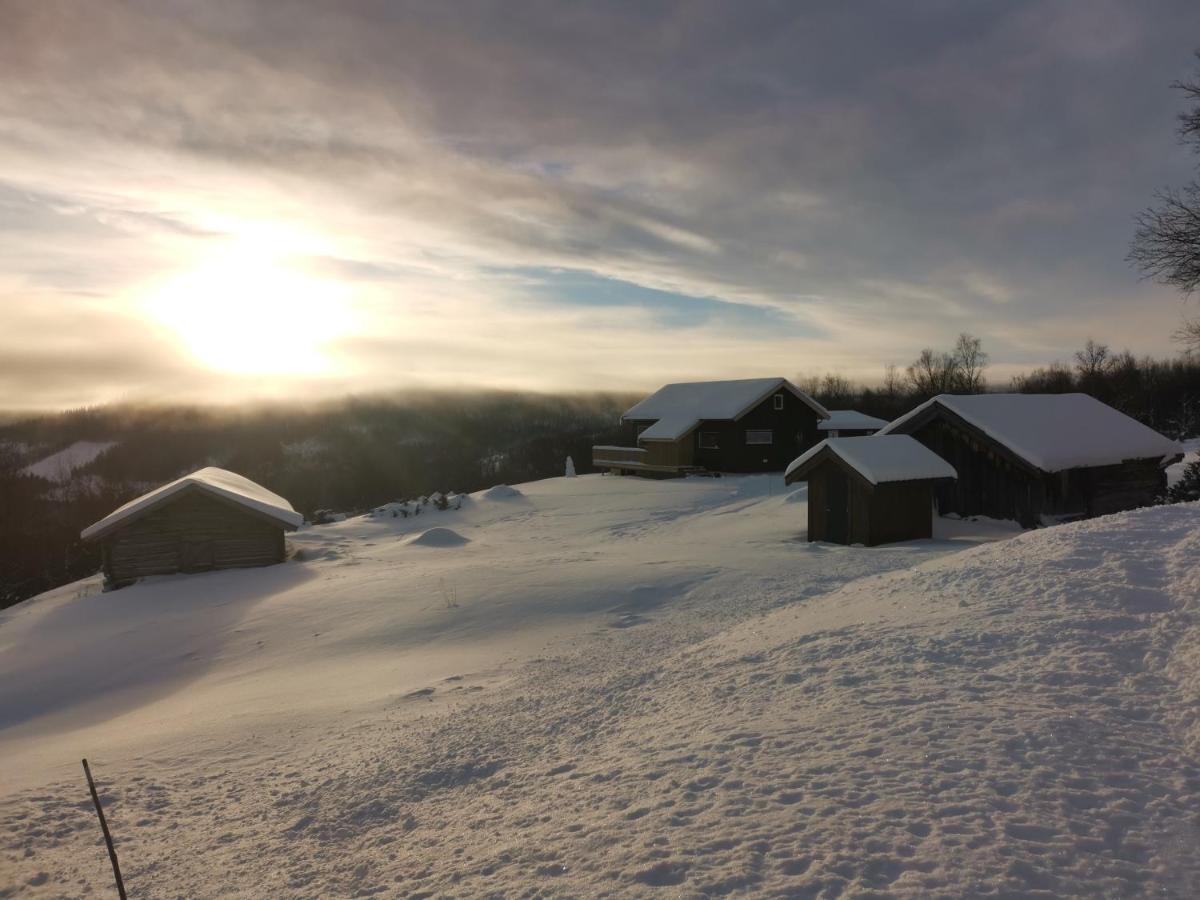 Na Er Vinteren Kommet Til Hallingdal آل المظهر الخارجي الصورة