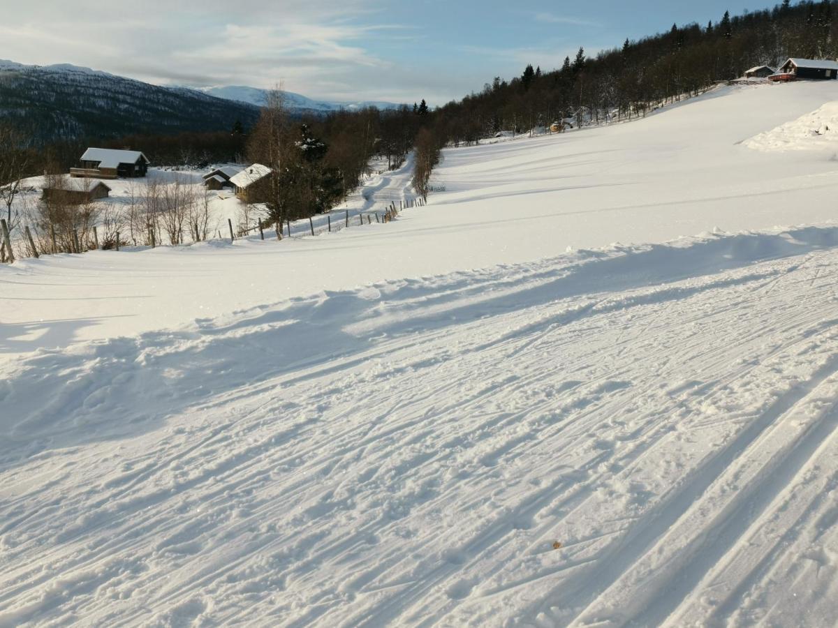 Na Er Vinteren Kommet Til Hallingdal آل المظهر الخارجي الصورة