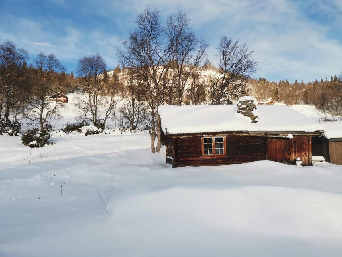 Na Er Vinteren Kommet Til Hallingdal آل المظهر الخارجي الصورة