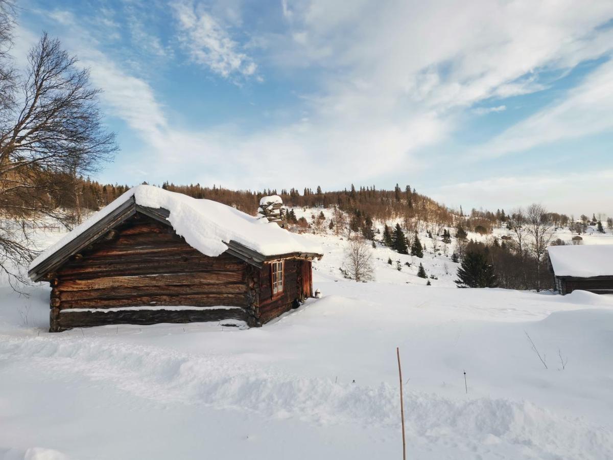 Na Er Vinteren Kommet Til Hallingdal آل المظهر الخارجي الصورة