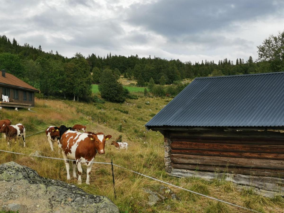Na Er Vinteren Kommet Til Hallingdal آل المظهر الخارجي الصورة